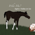 :iconprancingsaddlebred:
