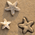 :iconprashant3d: