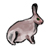 :iconprawnsticks: