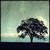 :iconprayforplagues3100: