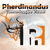 :iconpreacher77: