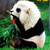 Preampree :iconpreampree: