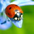 :iconprecious-dark: