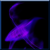 :iconpreliator-xzien: