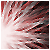 :iconprepotion: