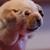 :iconpresentcontinious:
