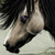 :iconprestige7169231: