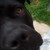 :iconpretend-im-human: