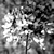 :iconpretty-current: