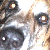 :iconpretty-pussy: