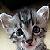 :iconpretty-undead-girl: