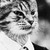 :iconprettyblur:
