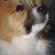 :iconprettygirlerin: