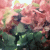 :iconprettyherpes: