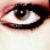 :iconpriceless-clutter: