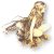 :iconpridwynn-polo:
