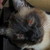 :iconpriestessearthchild: