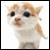 :iconpriincez: