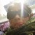 :iconprillopie: