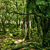 :iconprimal-dreams: