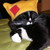 :iconprimarosie: