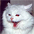 :iconprimeguard: