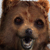 :iconprimer665: