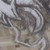 :iconprimuus:
