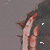 :iconprince-iq:
