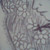 :iconprince-of-feathers: