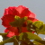 :iconprince05: