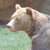:iconprinceadalwulf: