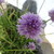 :iconprincelover222: