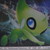 :iconprinceserebii:
