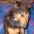 :iconprincess-cat101: