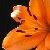 :iconprincess-green: