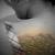 :iconprincess-irie: