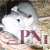 :iconprincess-nr-1: