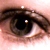 :iconprincess-of-crows: