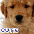 :iconprincess-onthe-rink: