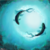 :iconprincess-skylight: