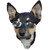 :iconprincessbuttons: