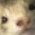 :iconprincessdodo: