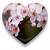 :iconprincesshsn: