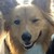 :iconprincesskittyhearts:
