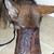 princesslexi11 :iconprincesslexi11: