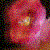 :iconprincessnatka: