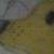 :iconprincesspuppy123: