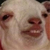 :iconprincesssharin: