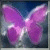 :iconPrincessSophie06: